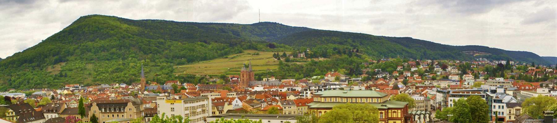 Ferienwohnungen - Sehnke Neustadt an der Weinstrasse – Lage und Umgebung